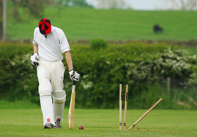 Close-up of a cricket ball hitting the wicket, emphasizing precision.